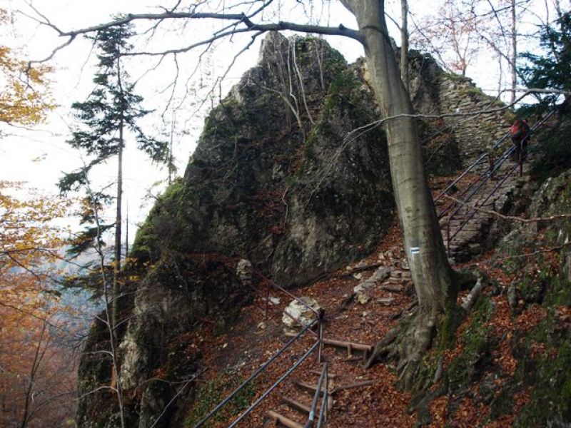  Widok na Pieniński Zamek.